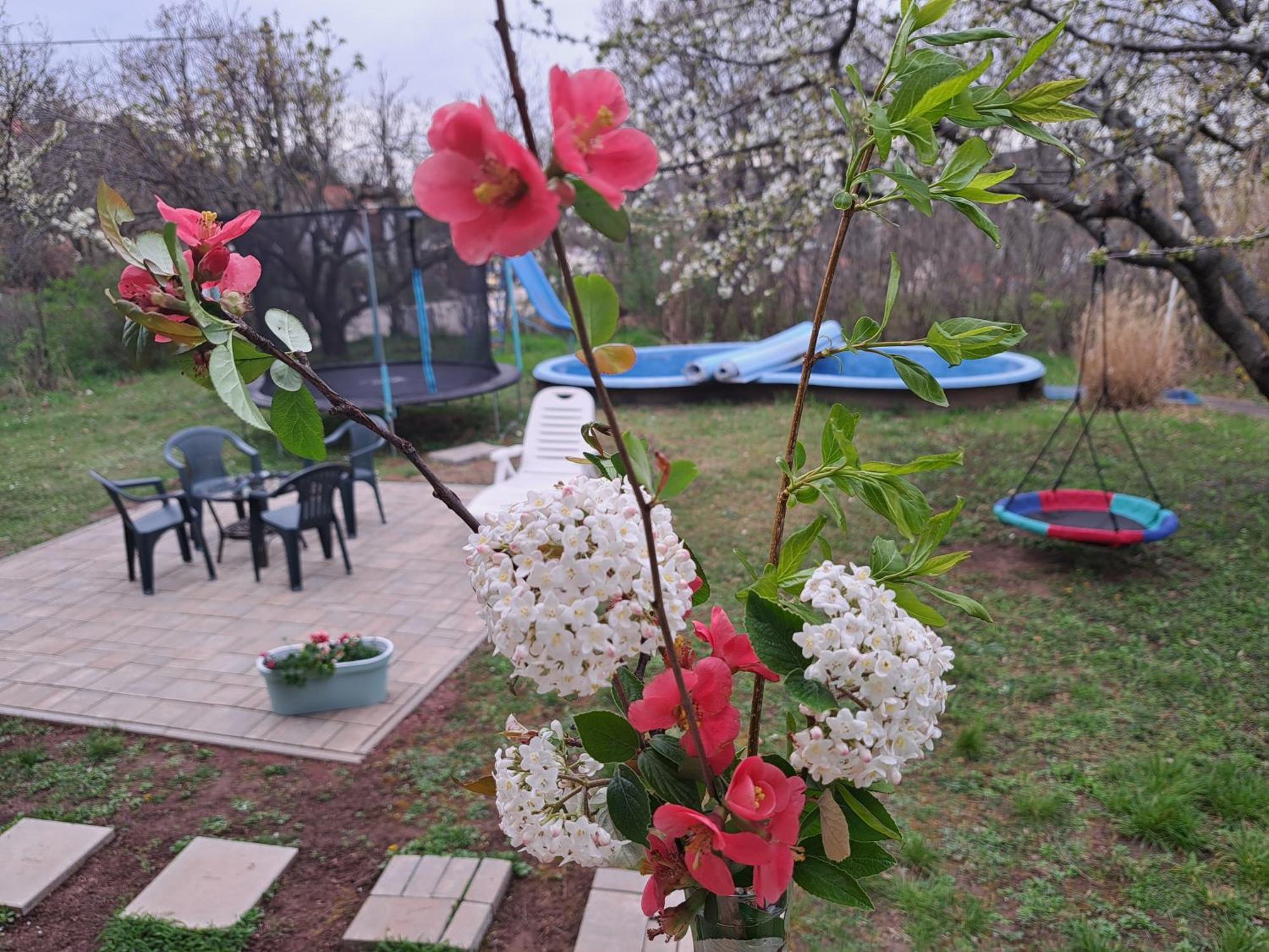 Malibu Apartment Balaton North Balatonalmadi Bagian luar foto